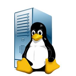 Linux Server