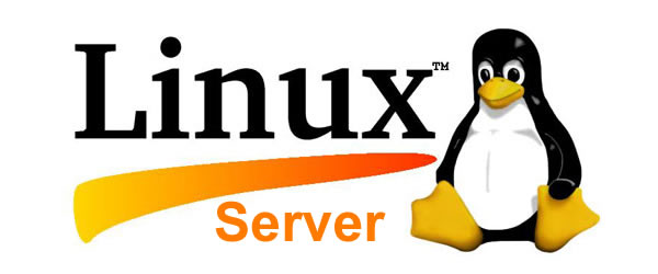 Linux Server Setup